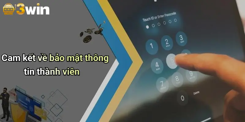 Chính Sách Bảo Mật